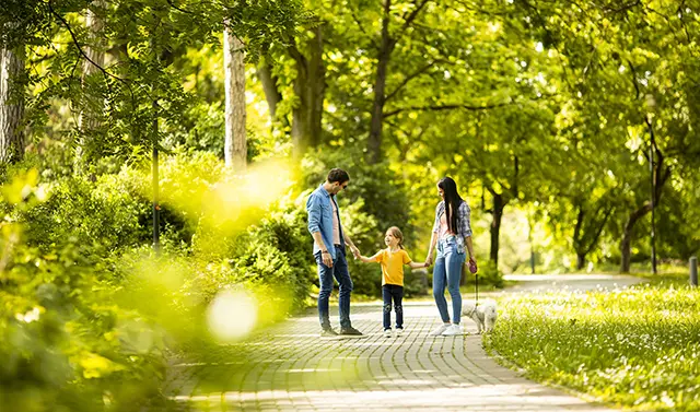 Northwest Arkansas Real Estate | Uptown Real Estate